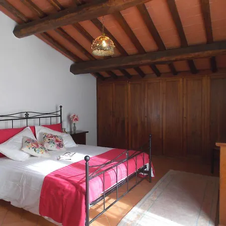 Edera سكاربيرا