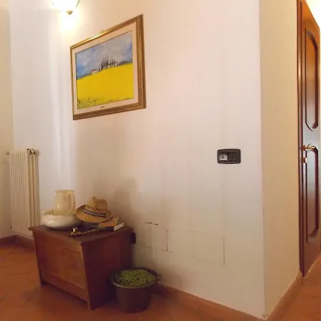 Edera * سكاربيرا