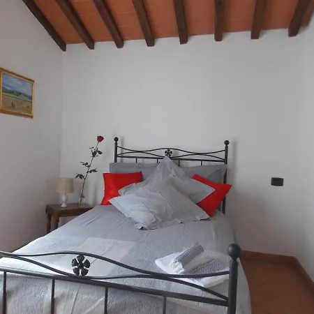 فيلة Edera سكاربيرا