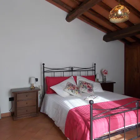 فيلة Edera سكاربيرا