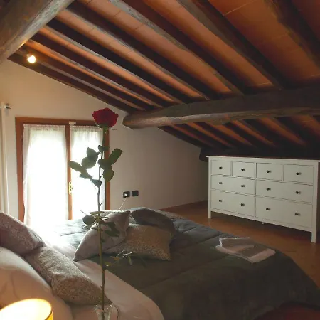 Edera فيلة سكاربيرا