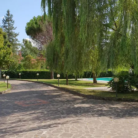 Edera سكاربيرا